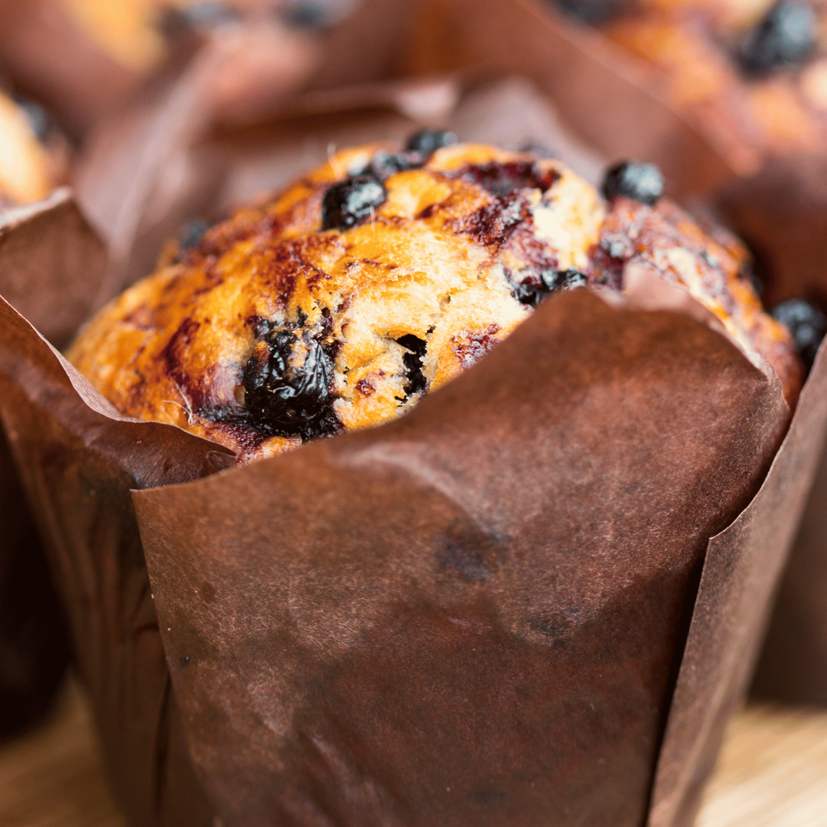 BLUEBERRY MUFFIN